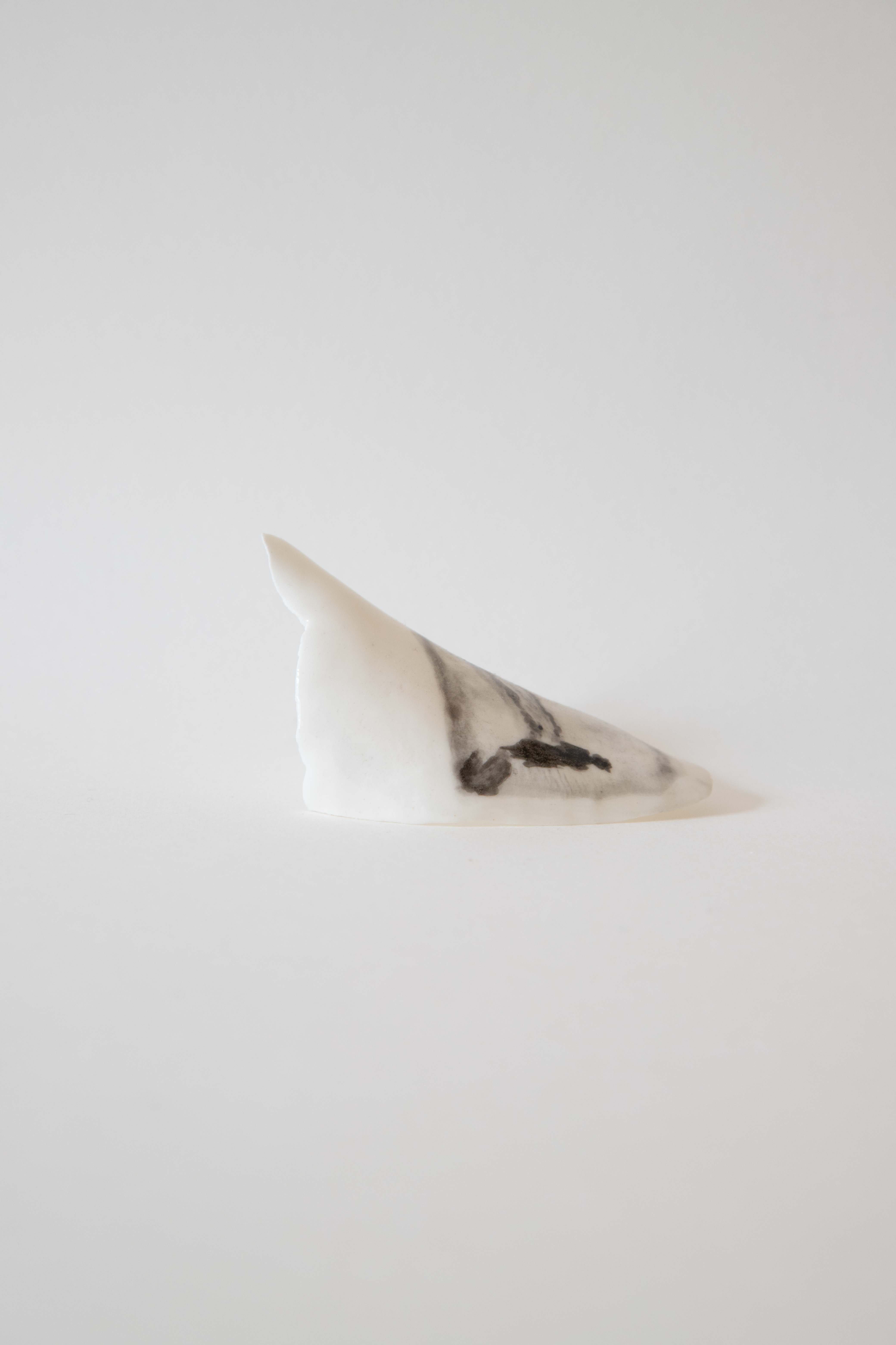 souvenirsdeformes_2